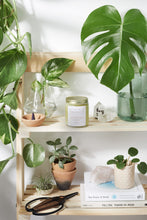 Load image into Gallery viewer, Hair & Nail Mask for long hair growth and healthy nails - GMD Boutique