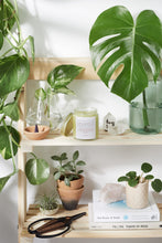 Load image into Gallery viewer, Hair & Nail Mask for long hair growth and healthy nails - GMD Boutique