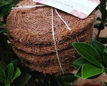 Load image into Gallery viewer, Coconut Coir Utensil and  Dish Washing Pads/Scrubs (6 pack/12 pack) - GMD Boutique