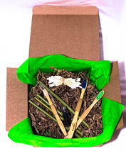 Load image into Gallery viewer, Eco Packs - Ethic Panda Family - GMD Boutique