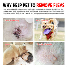 Load image into Gallery viewer, Natural Flea, Tick & Mosquito Collar - GMD Boutique
