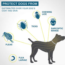 Load image into Gallery viewer, Natural Flea, Tick & Mosquito Collar - GMD Boutique