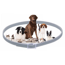 Load image into Gallery viewer, Natural Flea, Tick & Mosquito Collar - GMD Boutique