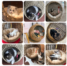 Load image into Gallery viewer, Handmade Woven Hanging Round Cat Rattan with Soft Cushion - GMD Boutique