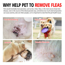 Load image into Gallery viewer, Natural Flea, Tick &amp; Mosquito Collar - GMD Boutique
